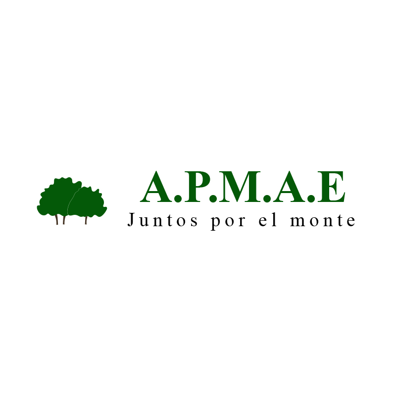apmae